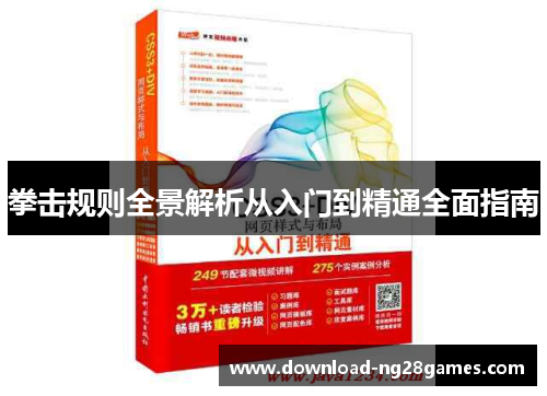 拳击规则全景解析从入门到精通全面指南