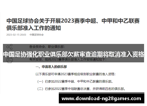中国足协强化职业俱乐部欠薪审查逾期将取消准入资格